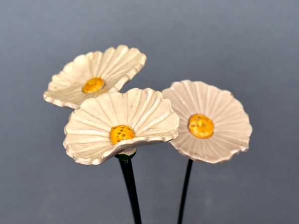 Szellőrózsa - Fehér